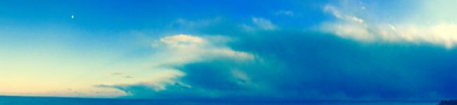 diveisland's header image
