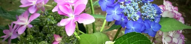 yoyoiyoi's header image