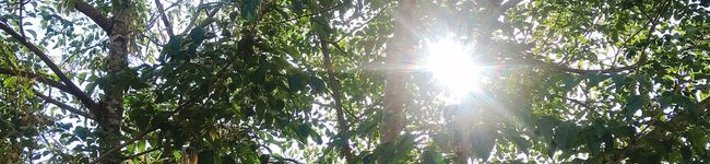 mie10's header image