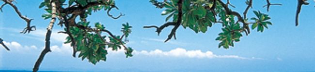 じろさん's header image