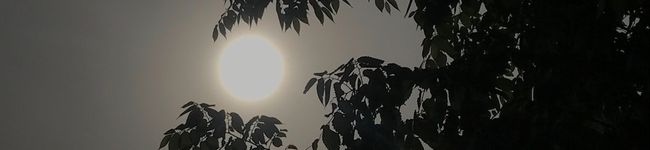 meiisuii's header image