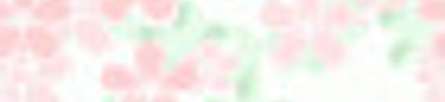 コリーデール's header image