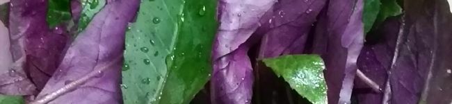 クックK0QK07☆'s header image