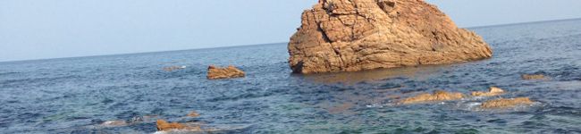 綾海☆'s header image