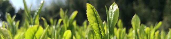 10000chan's header image