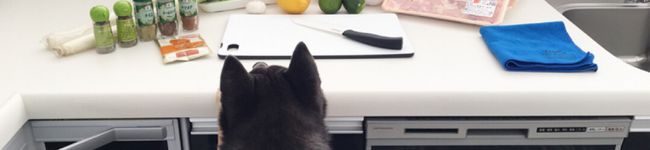 chihome11's header image