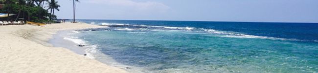 ChefSugi's header image