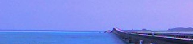 whiteriese's header image