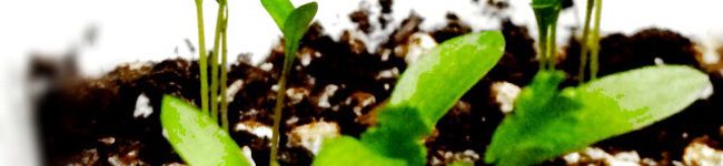 クックOS6DGY☆'s header image