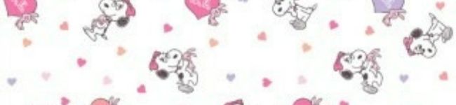 ✩ぱっちょ✩'s header image