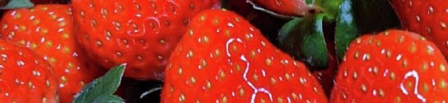みのパン's header image