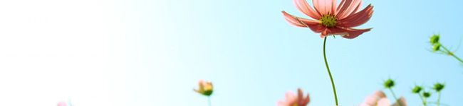 ucacco's header image