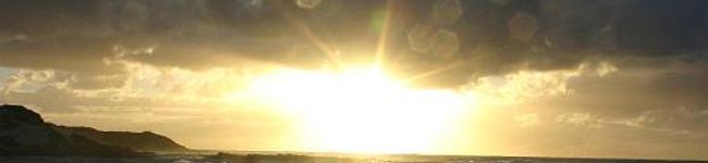 anpanmarie's header image