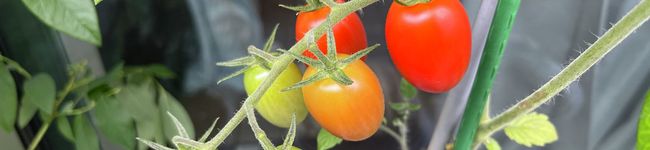 tomo580728's header image