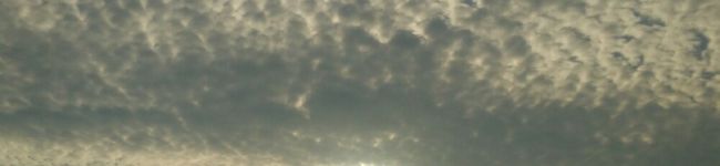 753☆'s header image