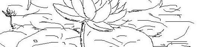 dokbua's header image