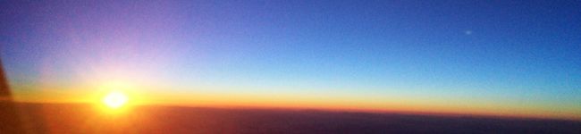 m_ariiisa's header image