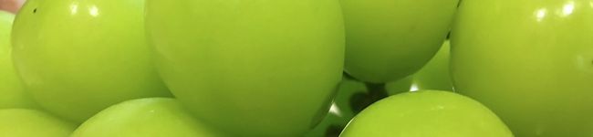 チョビタンです's header image
