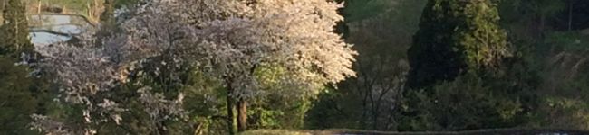 ふねさん♪'s header image