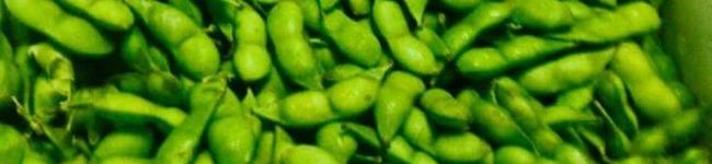 MEGsan18's header image
