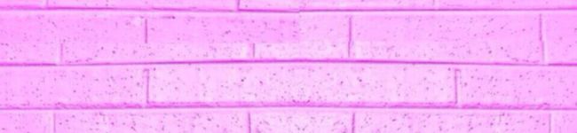 。。い。's header image