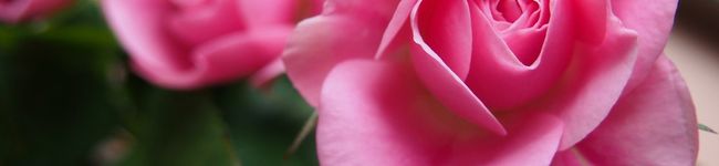 LouraCafe's header image