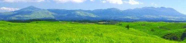 クックKI's header image