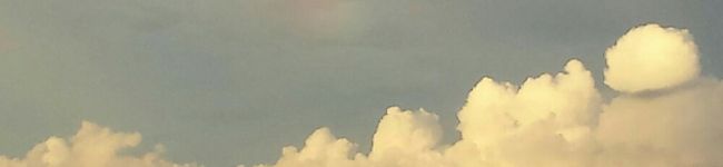 クックまのすけ's header image