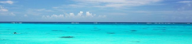 askunk's header image