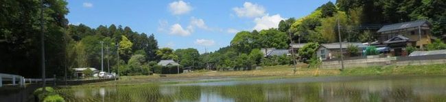 「かつのりな農園」's header image