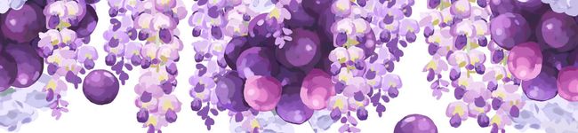 美味しいみかんさん's header image