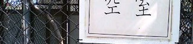 まめっぽんぽん's header image