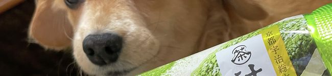 ミキてぃー☆。's header image