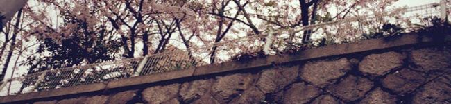 おぬさん's header image