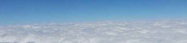 ワンワンせなたん's header image