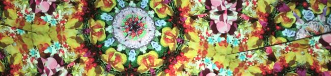 micyu-misa's header image