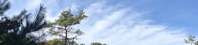 Sの楽々クッキング's header image