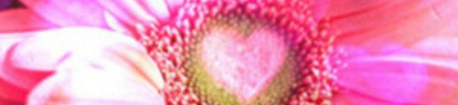 ☆mizuka's header image