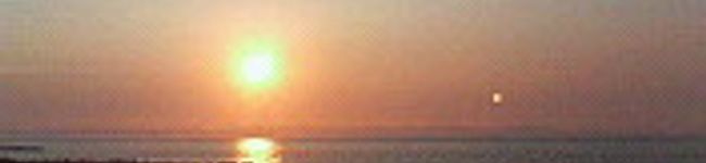 say26's header image