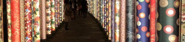 12050628's header image