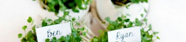 鍋っ子's header image