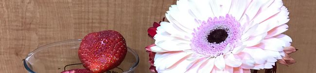 buos's header image