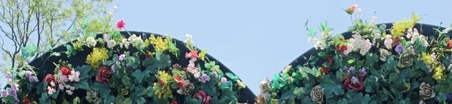 マコミコ's header image