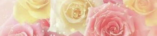 ♡綾ちゃん♡'s header image
