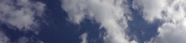 7kinako7's header image