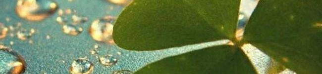 вё⭐чü's header image