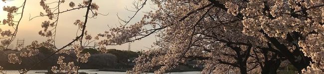 ☆na6284☆'s header image