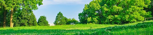 ずぼらりあん。's header image
