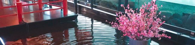 えりぴ's header image