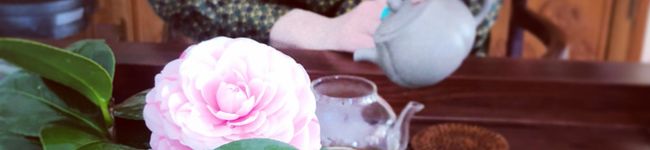 Mimi's header image